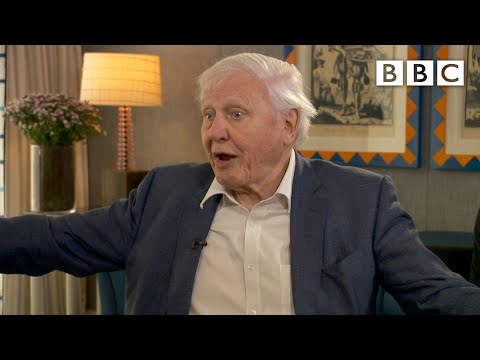 David Attenborough: &#039;This is the last chance&#039; to address climate change | BBC