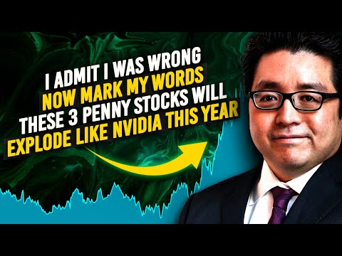 Tom Lee&#039;s Bold Admission - These 3 Dirt-Cheap Stocks Will Make You Millionaire In 2025 - Get In ASAP