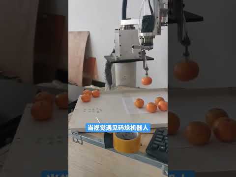 Revolutionary Robotic Arm: can robot hold orange?