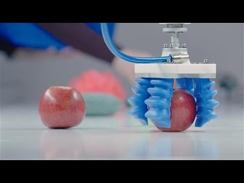 What Picking Up an Apple Tells You About the Future of Robotics
