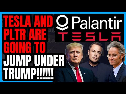 Why Investors Are Betting Big on Palantir and Tesla Right Now!