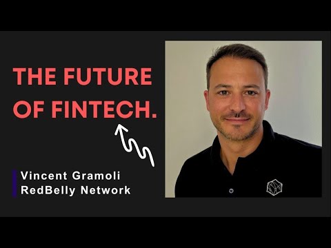 The Future of Fintech: How RedBelly is Revolutionizing Digital Assets