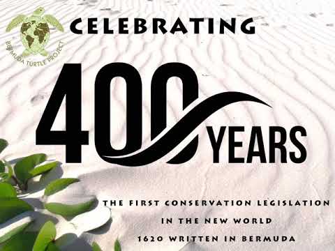 Celebrating 400 years of the Bermuda Turtle Project.