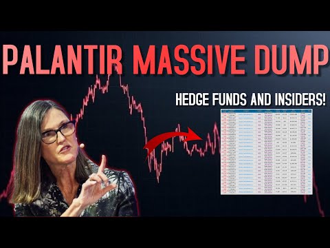 Palantir (PLTR) GETS DUMPED BY HEDGE FUNDS AND INSIDERS!