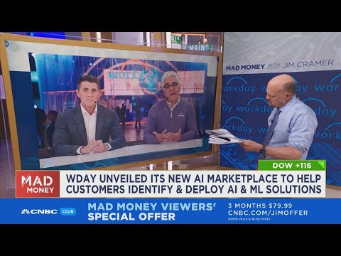 AI is as important and disruptive as cloud software, says Workday Co-CEO Aneel Bhusri