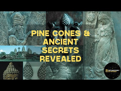 Pine Cones Hold Ancient Secrets You Won&#039;t Believe